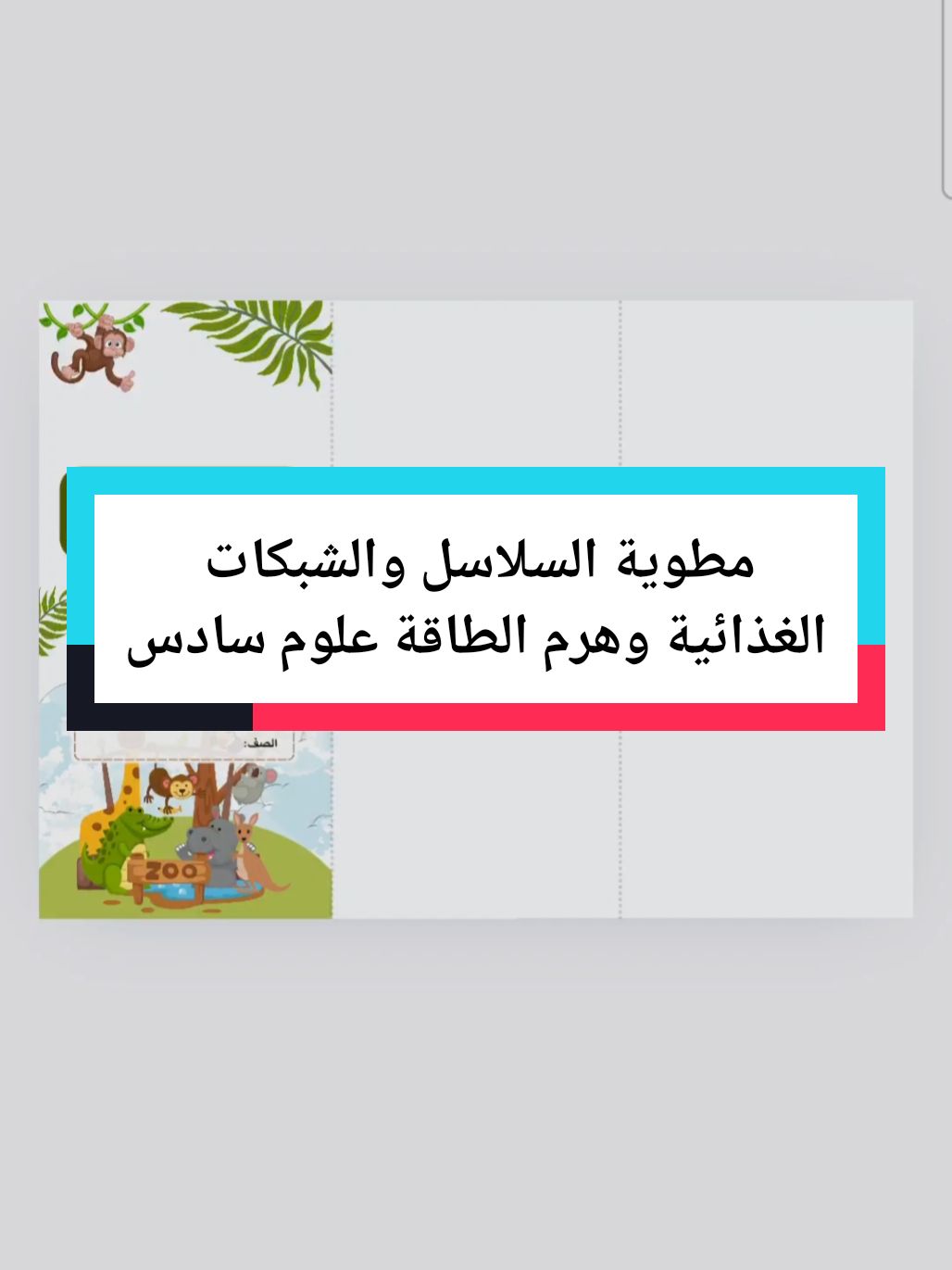 #السلاسل_والشبكات_الغذائية   #مطويات_علوم_سادس_ابتدائي  #علوم_سادس_ابتدائي #مطويات_علوم_سادس_ابتدائي_الفصل_الثاني #مطويات_علوم 