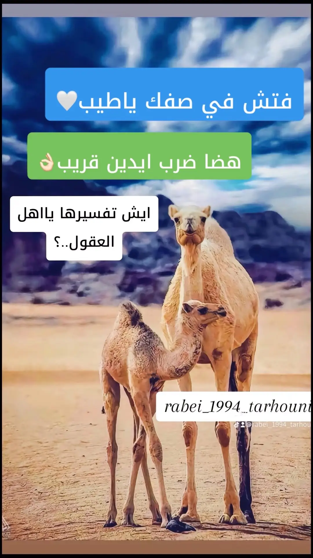 #✋🏻 #شتاوي_وغناوي_علم_ع_الفاهق❤🔥 #عالفاهق💔🔥 #صوب_خليل_خلق_للجمله🎶❤🔥💔💔 #دق #جديد #شعراء_وذواقين_الشعر_الشعبي #البيضاء_الجبل_الاخضر #درنه_طبرق_مصر_ليبيا_بنغازي_طرابلس_جزائر #ايش #تفسيرها #fya #👌🏻🔥 🔥 #جميع_الدول_العربيه 