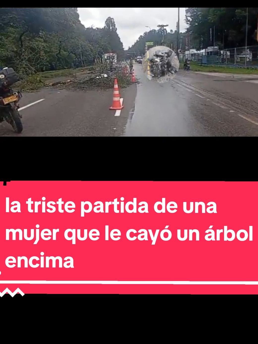 la triste partida de una mujer que le cayó un árbol encima  requieres asesoría jurídica contacto whatsApp en mi perfil  #triste #dolor #mujer #árbol #asesoría #jurídica #fyp 