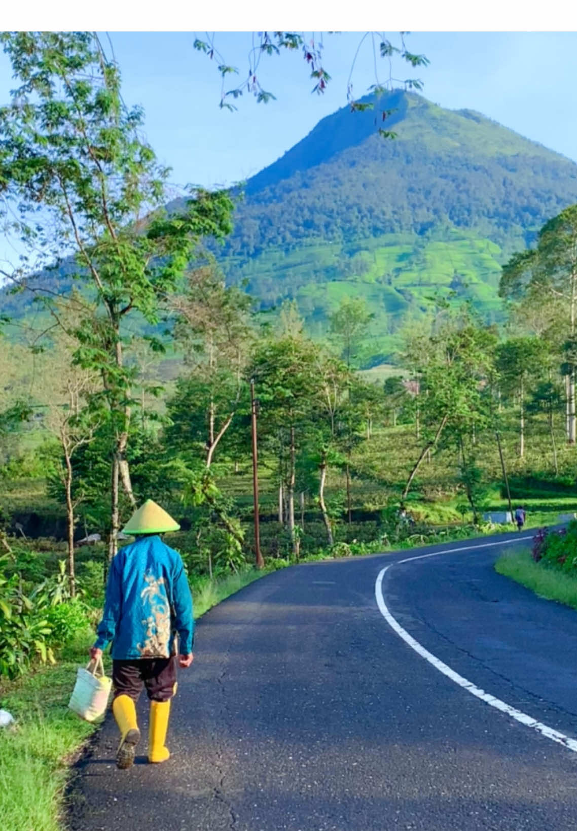 Friday morning #dalananyar #gunungcilik #wonosobo #dieng #videotiktok 