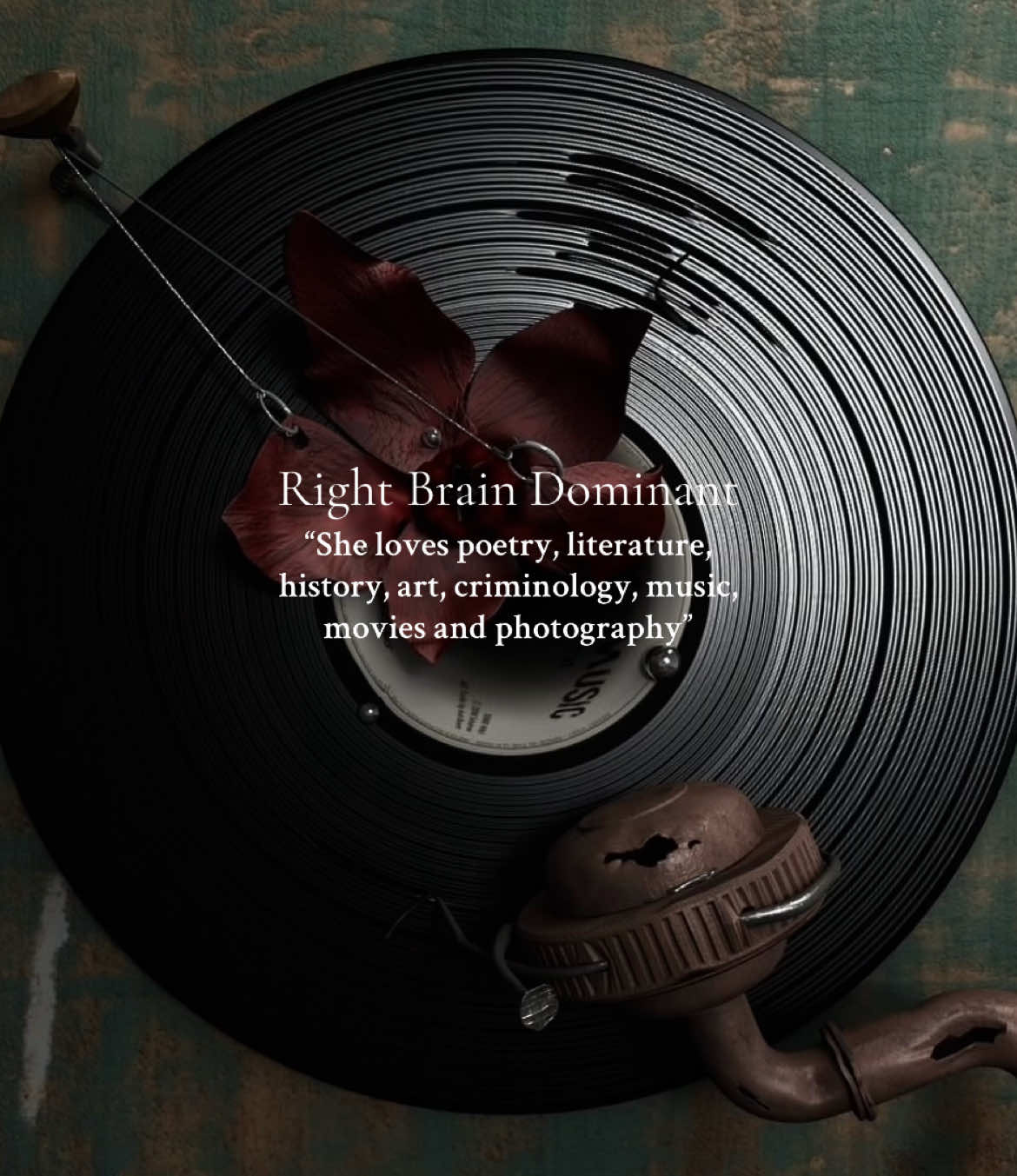 that’s so me #fyp #foryoupage #perte #foryou #literature #poetry #criminology #music #movies #photography #history #art #pinterest #aesthetic #rightbrained #brain #deadpoetsociety #anciet #darkacademiaaesthetic #tiktok