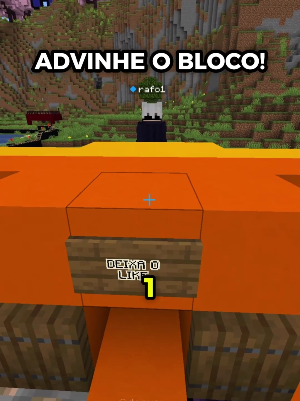 Adivinhe o bloco com @rafo  #Minecraft #minecraftmemes 