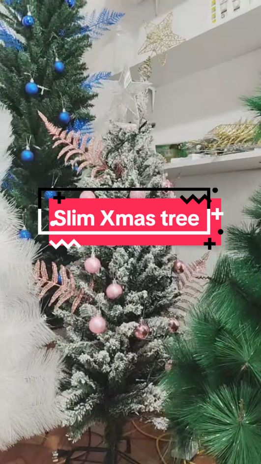 Bili na po. #LIVEhighlights #TikTokLIVE #LIVE #slimchristmastree 