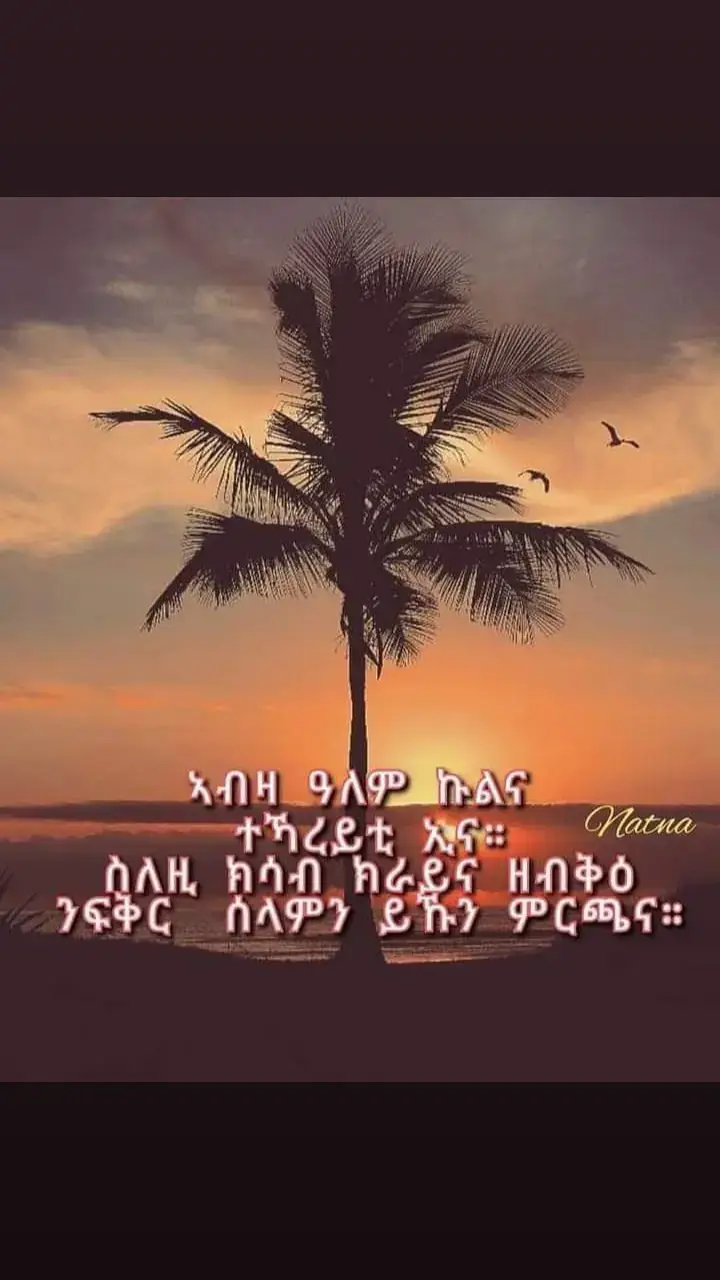 #habeshatiktok #ትግራይ_ንዘለኣለም_ትነብር🙏🏼❤️💛✊🏾 #vairal_video #ትዝታ💔😢 #tigringa_music🎵❤️ 