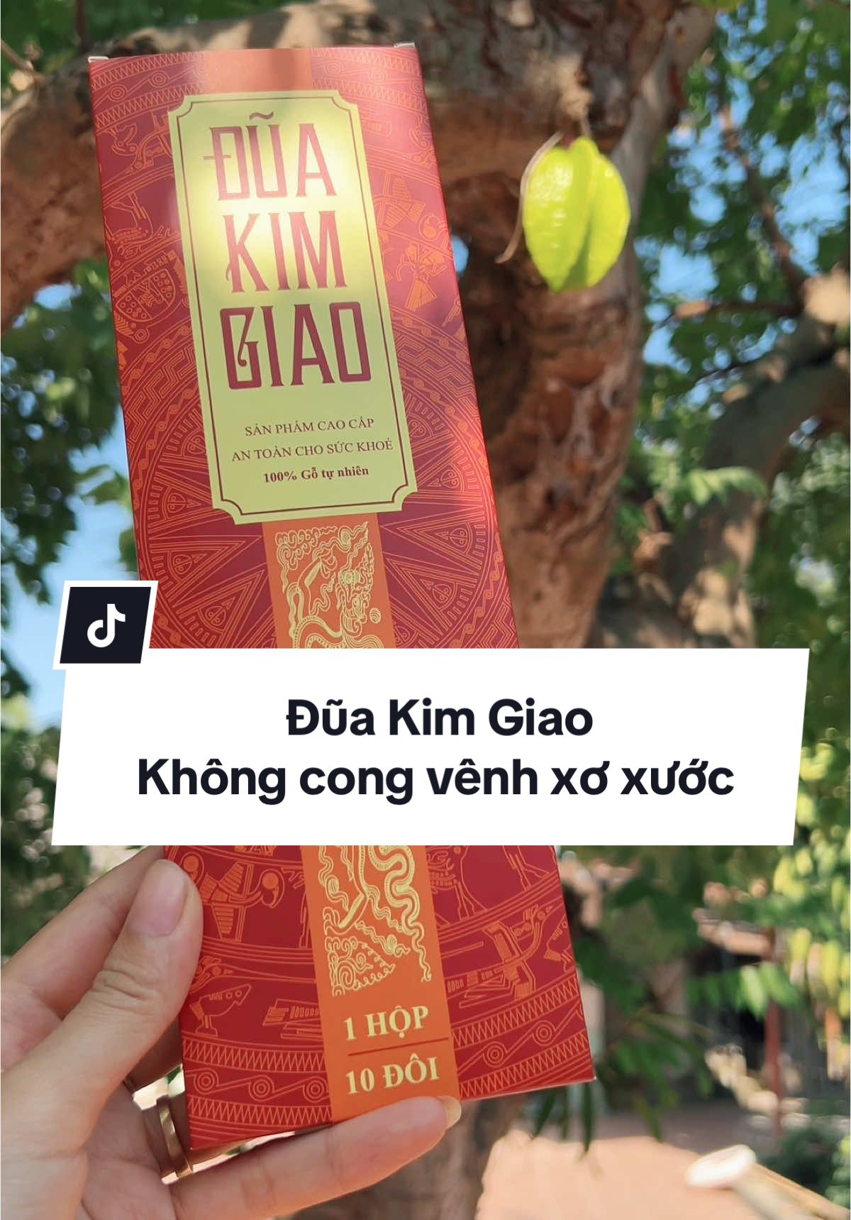 Đũa Kim Giao cao cấp dành cho gia đình bạn #duakimgiao #duagokimgiao #duaan #dodungnhabep #dogiadung #tongkhogiaplan 