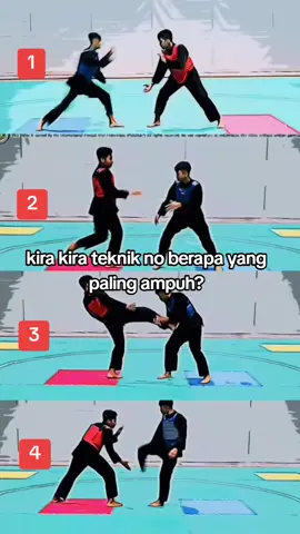 teknik pencak silat. coba di praktekin dalam latihan dan pertandingan  sumber video IG coach.hrd #tekniksilat #bantingansilat #pencaksilat #teknikbantingan #pertandingansilat #tandingsilat 
