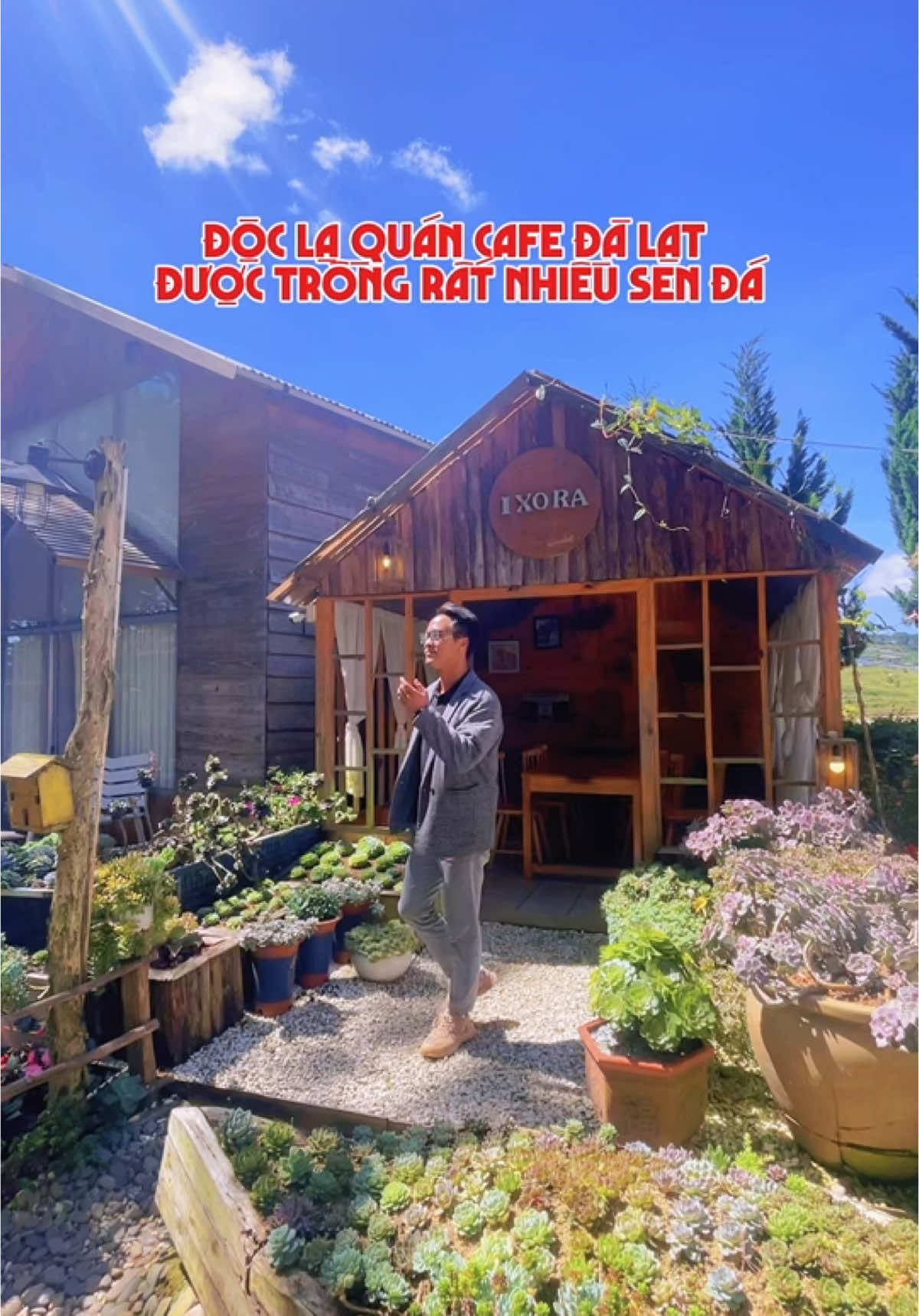 Quán cafe được trồng rất nhiều sen đá ở Đà Lạt #TikTokAwardsVN #dalat #rongchoidalat #tiendalat #dalatreview #dalatstory #langthangdalat #reviewdalat #ixoracafe #cafesendadalat #thochupanhdalat 