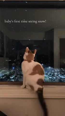 she’s been staring out of the window for like 30 mins 🥹
