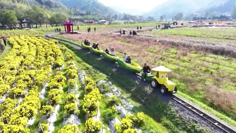 Chinese villages in full bloom! Chrysanthemums, zinnias, and a kaleidoscope of autumn colors—pure magic waiting for you！ #ChinaTravel #tourinChina #autumn #beautifulscenery #village #villagelife #happylife