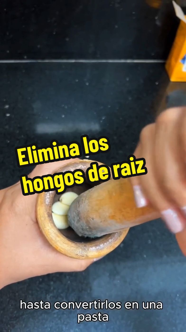 Elimina los hongos de raiz