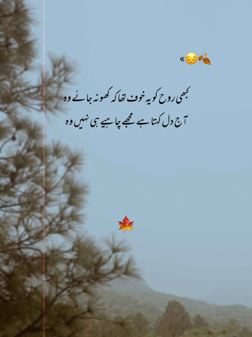 آج دل کہتا ہے مجھے چاہیے ہی نہیں وہ 🍂 #poetrystatus #asthetic #foryoupag #fyp #grow 