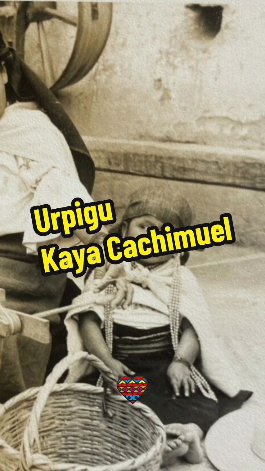 Kaya Cachimuel - Urpigu🕊 #yarina #yarinamusic #otavalo #kichwamusic #andesmusic #nativemusic #musicaandina #kichwa #kichwasoul #universokichwa #lyrics #traducción #otavaleños_en_el_mundo🌏 #culturaandina #andes #fyp #paratiiiiiiiiiiiiiiiiiiiiiiiiiiiiiii #historia 