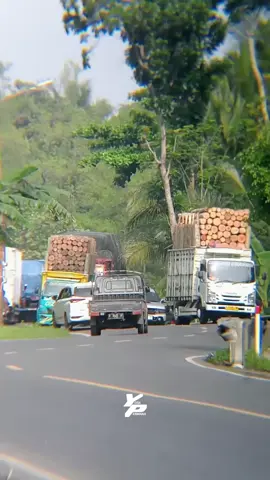 pesona kayu sengon🤘#jampagi #truckkayu #giganesia #cantermania #kayusengon #jalurselatan #storytruck #kayubalap #jalurselatangayabebas #truckmaniaindonesia #kusukatruck #trucker #pesonadrivermuda #fyp  @indra9820881185175 