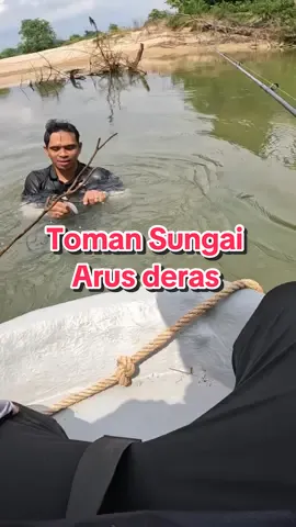 ingat @Akeemz Azhar je boleh tanya “kau rasa?” hahahaha thank you akeem bawa aku gi mengai sungai cantik ni..dah lah kene masok dlm sungai amek gewang aku,camera pon kene bagi aku pakai sebab aku lupa bawa aku punye🤣 ikan lak tak yah ckp lahh..so maksud nye kene repeat kan akeem?? hahahahah #muakakimancing #ladyangler #castingfishing🎣 #fypシ゚ #toman #malaysianangler #giantsnakehead #fyp 