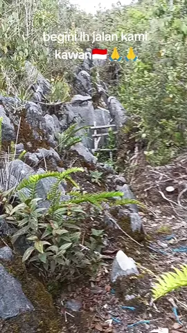Rintangan jalan yg kami tempuh sanyat kurang baik apa lagi batu nya sangat tajam dan jembatan kayu nya banyak yg rusak.