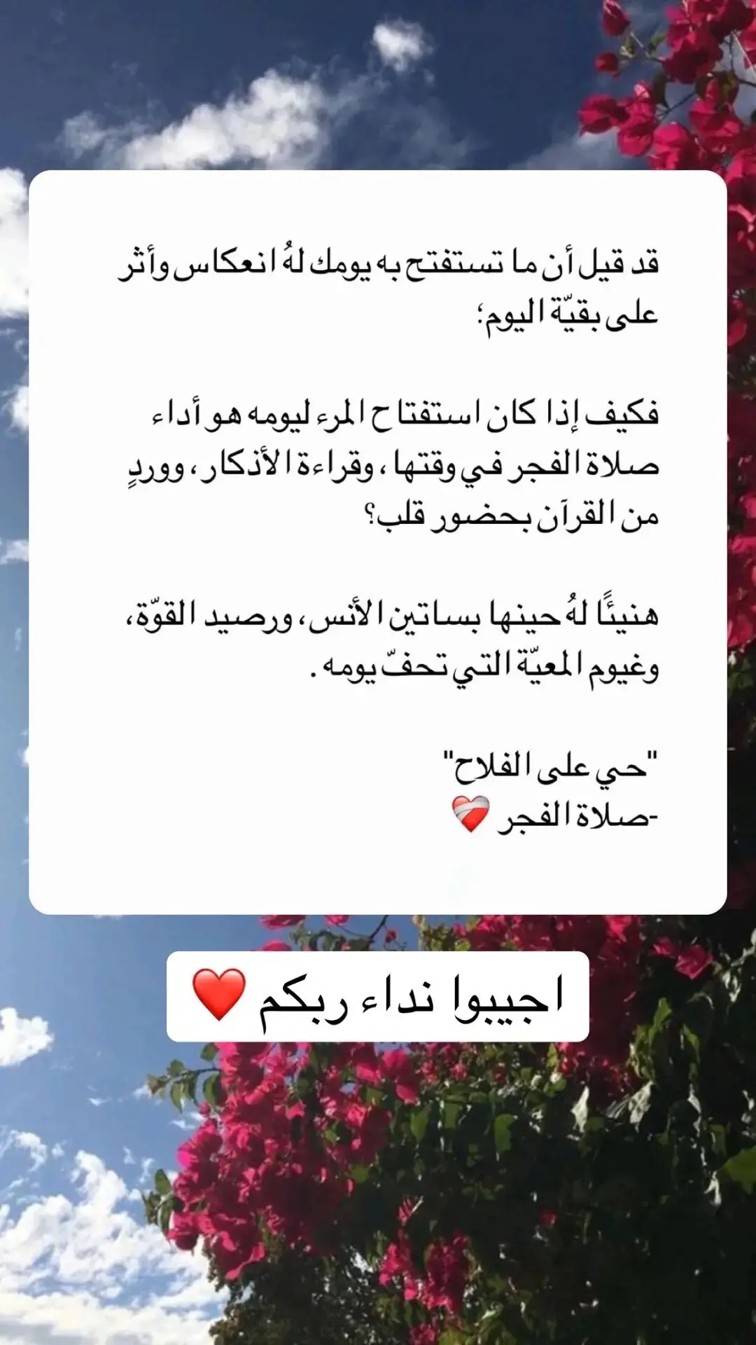 صلاة الفجرً يا رفاقً #مواساة_ربانية #صلاة_الفجر #قيام_الليل #اكتبوا_شي_تؤجرون_عليه #جبر 