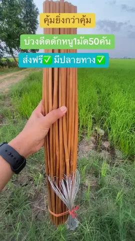 #เทรนด์วันนี้ #หากินแบบบ้านๆ บ่วงดักหนูนา ราคาสุดคุ้ม#ของมันต้องมี #หาอยู่หากิน 