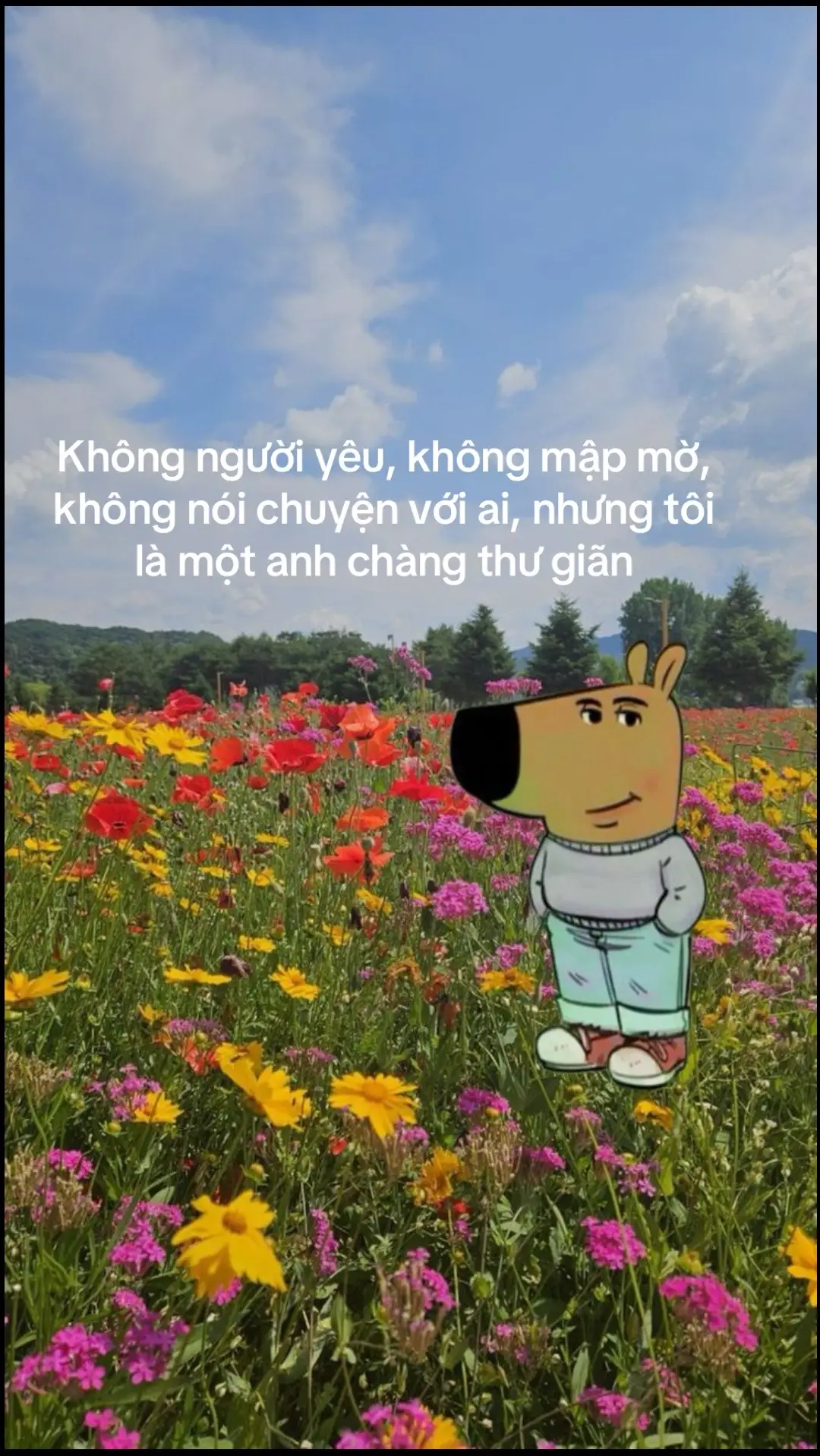 Không sao cả vì tôi là 1 anh chàng thư giãn #chillguy #chillguymeme