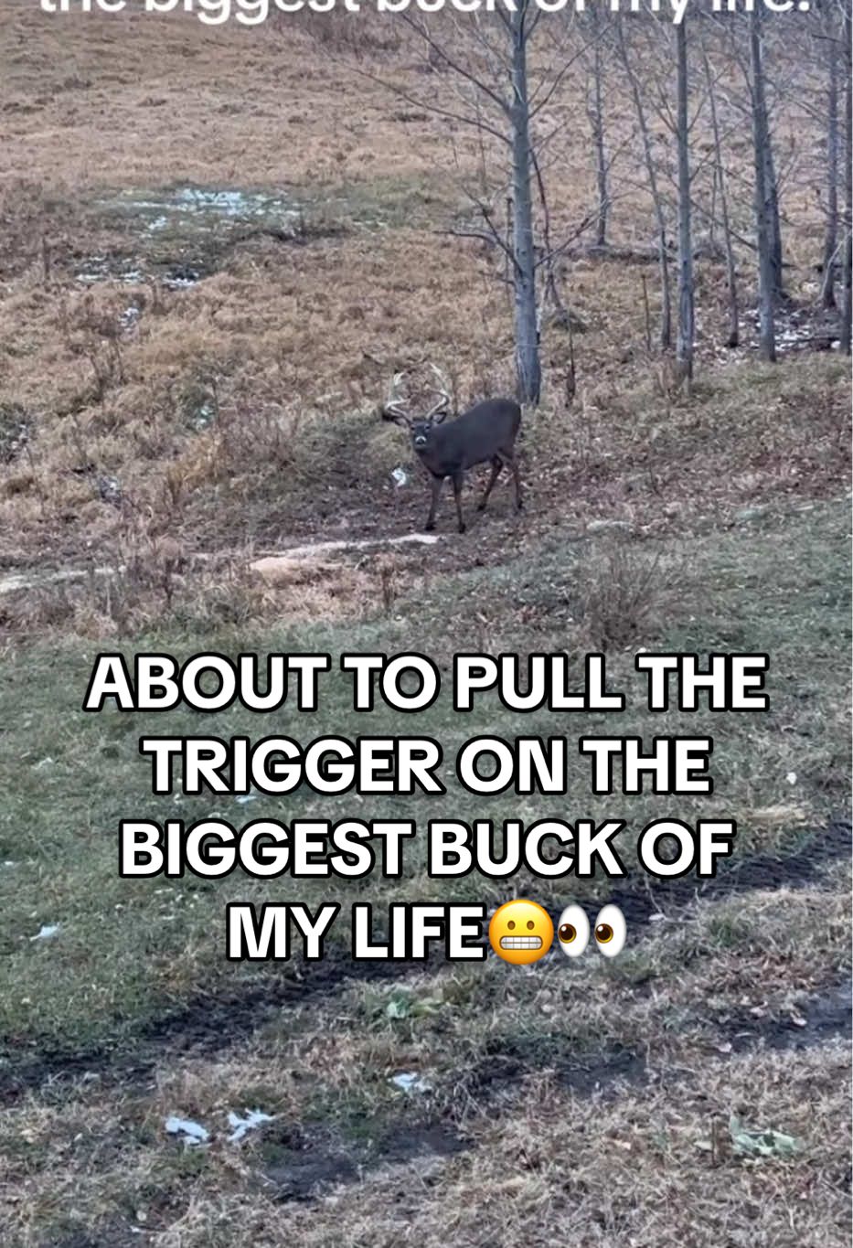 Buck fever is real😂 #TikTokShop #trending #fyp #foryoupage #Love #deer #wildlife 