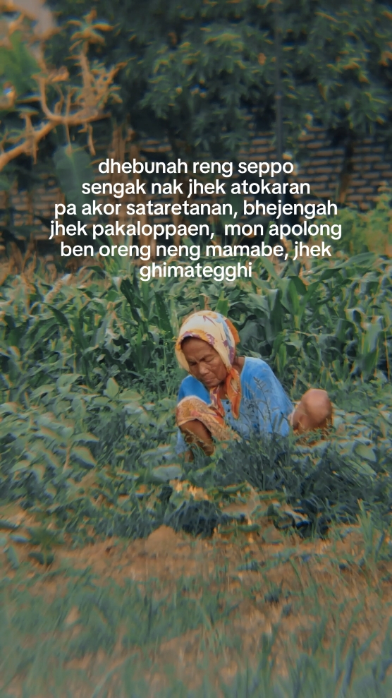 dhebunah reng seppo #madura #madurapride #maduraviral #katakatamadura #quotesmadura #storymadura #rkhtayyeb #zhlawr 