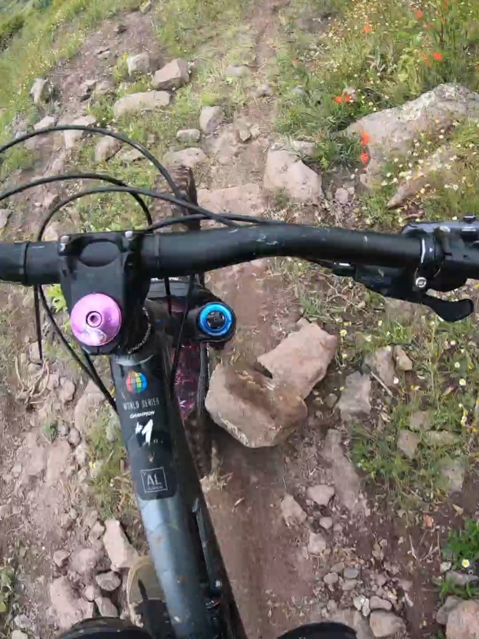 primeras vueltas en esa pista y me dio línea el buen Beto.😵‍💫 #fyp #pov #gopro #mtb #bike #downhill 