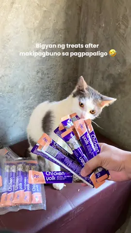 100 PCS OF CAT TREATS FOR ONLY ₱225🫶🐈 #cattreats #catstrips #catfood #petreats #chickenyolkcattreats #100pcscattreats #catwetfood 