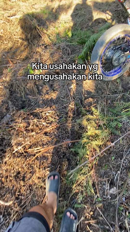 Bismillah kita kejar target beringkunya 🚀🔥 #fyp #fyppagee #petanimuda #pekerjakeras #pekerjakeras💪 #lahansawit #sawittiktok🌴🌴🌴 #masukberanda 