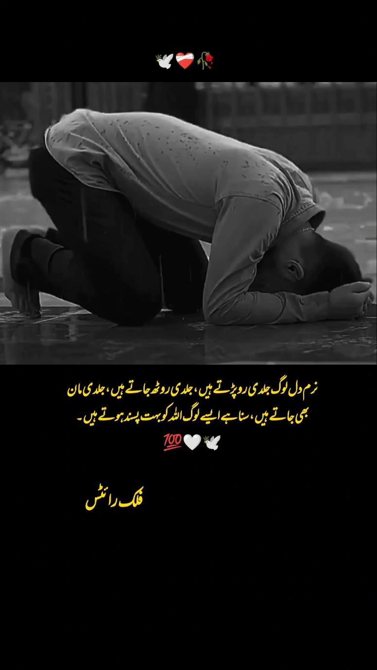 اللّٰہ ہمیشہ نرم دل انسان کو ہی پسند فرماتا ہے ۔💯🕊️ ۔ ۔ #urdupoetry #sadstory #poetrystatus #fyp #foryourpage #foryou #pain #views #asthetic #lines #deepthoughts 