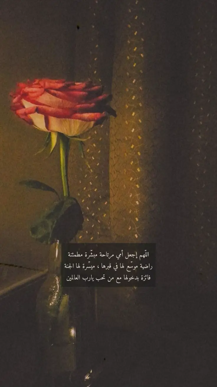 #أمي💔 #وضحى 