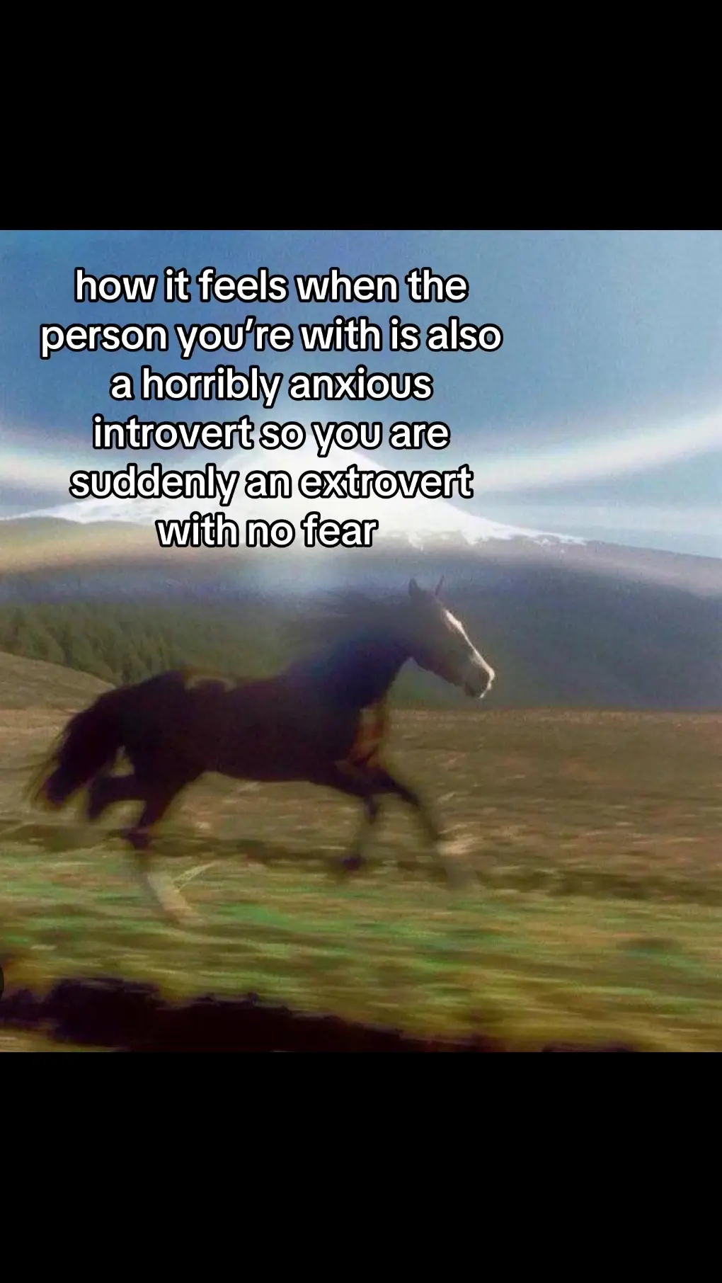 #horse #free #foryoupage #fyp #relatable 