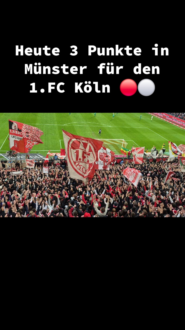 Auf geht's Effzeh kämpfen und Siegen 🔴⚪️⚽️ #köln #ultras #Fussball #effzeh 