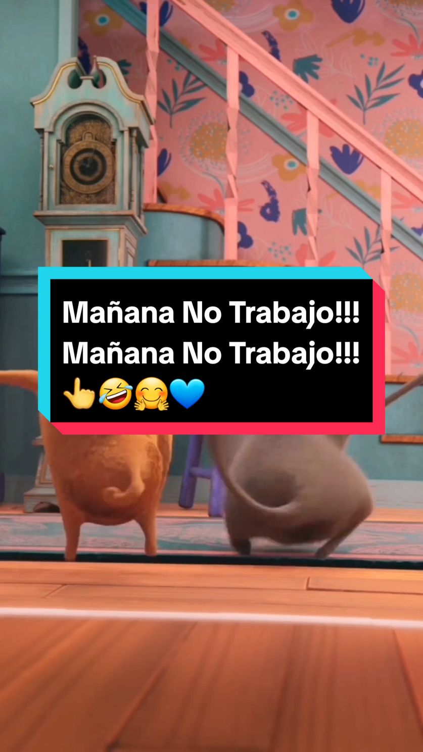 #CapCut MAÑANA NO TRABAJO!!!👆🤣🤗💙#Tiktok #mañananotrabajo #videosdehumor #tiktokhumor #memeo #cute #meencanta #quebarbaridad #avolar #yomedivierto #fyp #parati #foryou #masde40 #memeo✌ #viral #Funny #funnyvideo 