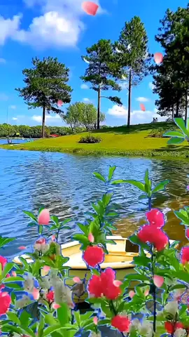 #xuhuongtiktok #nhạcchillcảnhđẹp #giảitritiktok #sôngnươcmiêntây 