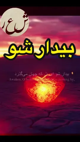 ‎دكلمه: شهيد خطيبى #farsi_poetry #persianpoems #iranianpoetry #persianliterature #persianpoetry #عاشقانه_ها #ادبیات_کهن #شعر_معاصر #شعر_و_ادبیات #شعر_ناب #سعدی #حافظ #مولانا #غزل #شعر_عاشقانه #شاعری #شعر_کوتاه #ادبیات #شعر_فارسی #شعر