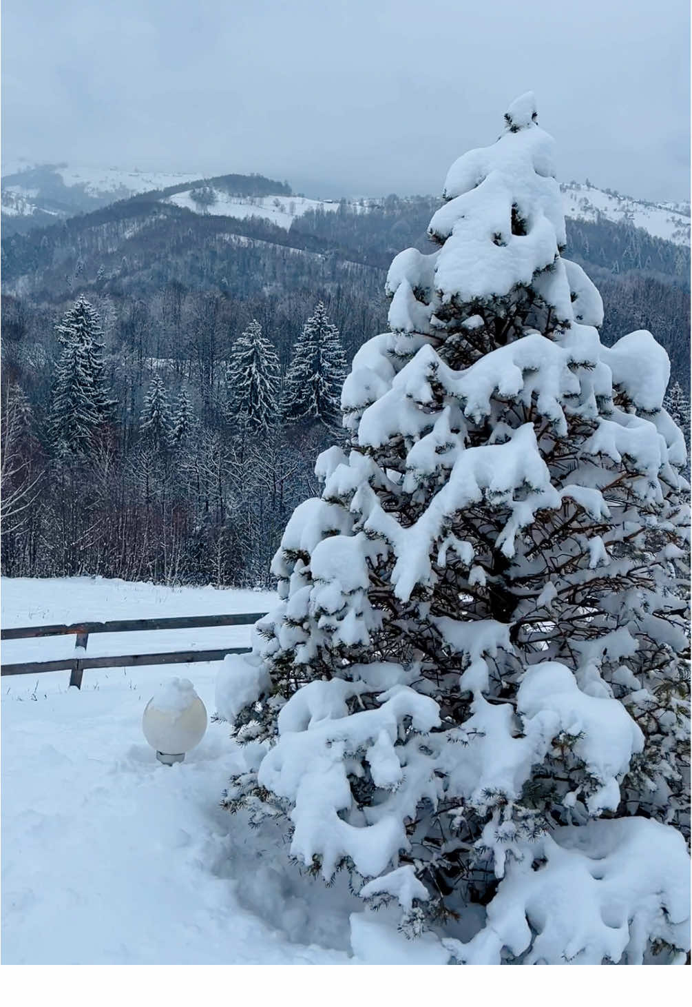 România de poveste 🇷🇴 Ninge în Bran Moieciu ❄️ #primaninsoare #moieciu #bran #romaniafrumoasa #zapada #craciun #wow #siltrips #brasov #fyp 