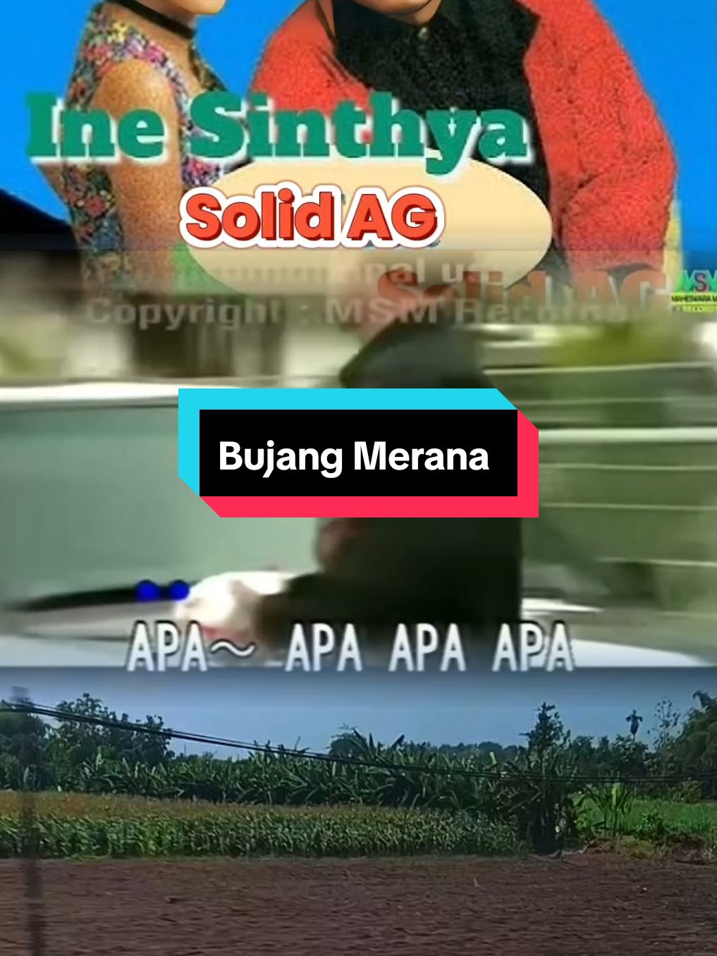 Bujang Merana - Ine Sinthya & Solid AG #dangdutnostalgia #liriklagu #foryou #kophit120    