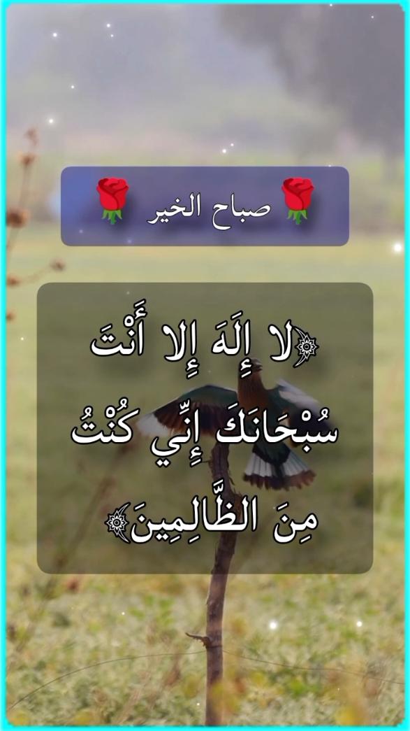 دعاء الصباح 🌹🤲#دعاء #الصباح #صباح_الخير #صباحكم_أحلى_صباح #صباحكم_معطر_بذكر_الله #اذكار_الصباح #اذكار_ادعية #اذكار_المسلم #اذكار_الصباح_والمساء #استغفار #صدقه_جاريه #راحة_نفسية #اذكروا_الله #اذكروا_الله_يذكركم #ماشاءالله_تبارك_الله #ماشاءالله #اللهم_صلي_على_نبينا_محمد #اللهم_صل_وسلم_على_نبينا_محمد #اللهم_لك_الحمد_ولك_الشكر #امين_يارب #يارب #دعاء_يريح_القلوب #دعاء_جميل #دعاء_يريح_القلوب_ويطمئن_النفوس #دعاء_مستجاب #دعاء_عظيم #explore #pourtoi #pourtoipage #foryou #foryoupage 