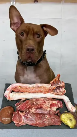 Pitbull eating Raw foods#asmr 