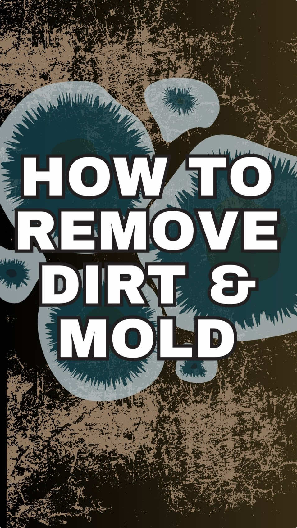 Here's a dry cleaners guide for removing mold & dirt stains: 1) Mold requires a disinfecting product. DIY methods will not cut it! Spray it on 2) Soak the garment in warm water and washing and/or baking soda for about an hour 3) Wash as recommended 4) Inspect before tumble drying. Odds are you'll have to treat with oxygen bleach 5) Spray 3% HP on the garment and dry inside or soak in hot water and powdered oxygen bleach overnight and then rewash 6) Enjoy your newly saved garment! #dirtstain #stain #stainremoval #getoutdirt #mold #moldremoval #moldstain #laundrytips #stainremovaltips #laundryhacks #cleaningtips #cleaninghacks #laundry