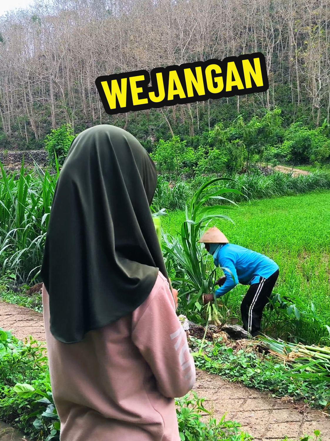 Nyore karo ngancani bapak ngarit,malah oleh weling,sok nek gede ojo koyo bapak yo nok,iki gawean rekoso,seng temen seng sekolah,mbesok nek gede men iso ngangkat drajate wong tuamu. Nek awakmu pernah di wejang piye bolo...?? #gunungkidul #inspirasigunungkidul #bapak #ngarit #tani #wejangan #citacita 