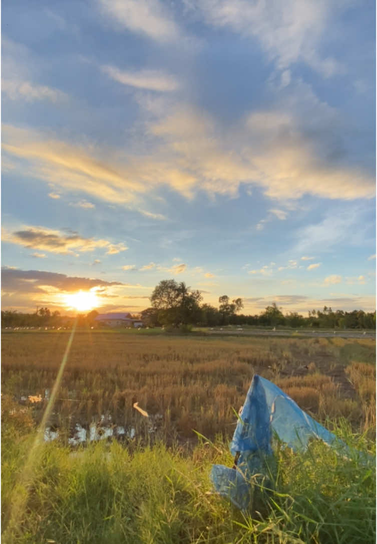 เมือยามบ้านเฮาไปสูดเอาลมหนาว.. 🌾🍃 #ภูไทมิวสิค #กิ๊บสันรังสรรค์ #เมือยามบ้านเฮา #ลมหนาว #วิวบ้านนอก🍃 #เทรนด์วันนี้ #ฟีดดดシ #fyp #สตอรี่_ความรู้สึก😔🖤🥀 #ยืมลงสตอรี่ได้ #อย่าปิดการมองเห็น #ดันขึ้นฟีดที #เธรด #เธรดเศร้า #เธรดเพลง #ท้องฟ้า⛅🌈 #ธรรมชาติบําบัด #อุบลราชธานี 