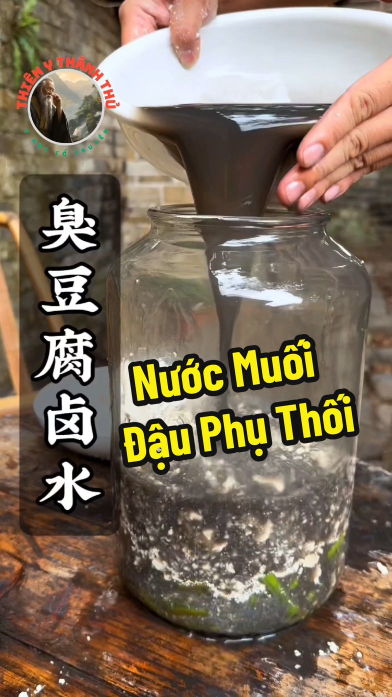 Đậu Phụ Thối hầu như mọi người từng nghe qua, nhưng bạn biết nó được làm ra bằng cách nào không? #quycoctiensinh #thienythanhthu #huyenmonthanhnu #duocthanhhuyenmon #thaoduocdaitoan #suckhoecongdong 