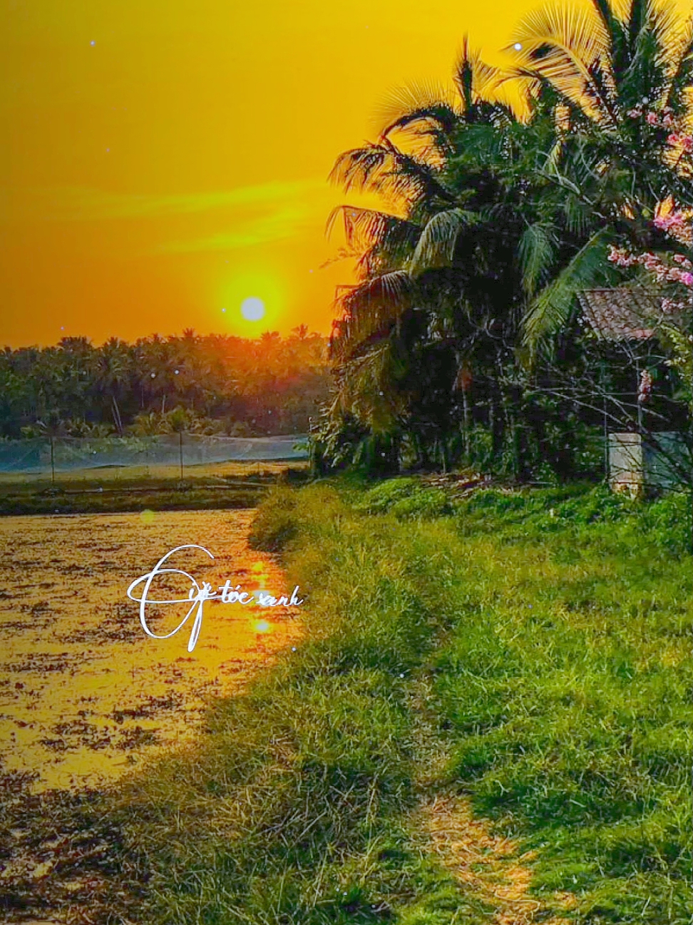 TA BƯỚC QUA HƠN NỮA ĐỜI NGƯỜI  #canhdep #trend #nhacbolero #sunset #mientay #xuhuongtiktok #tamtrang #nhacnaychillphet #nhachay #hoanghon #nhactamtrang #nhachaymoingay #xuhuong #xh #CapCut 