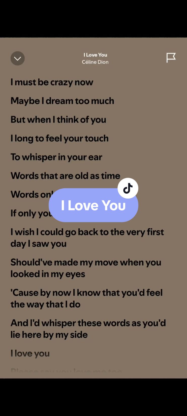 I Love You🎶 by: Céline Dion #iloveyou #celinedion #lyrics #spotify #kantakamuna🎤🎶 #oooooomerr_ #fyp 