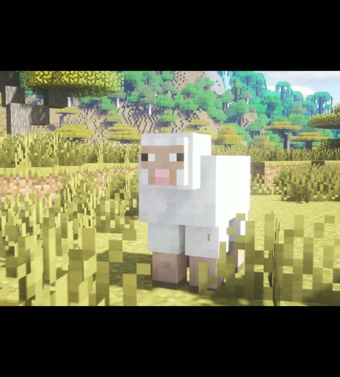 Are zou kidding me?! #Minecraft #cinrmatic #mining #sheep #session #shaders #survival #multiplayer #game #fyp 