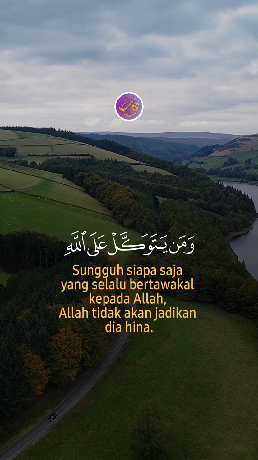 Surah Al Anfaal Qari Hani Ar Rifai #cahayaalquran #qurantafseer 