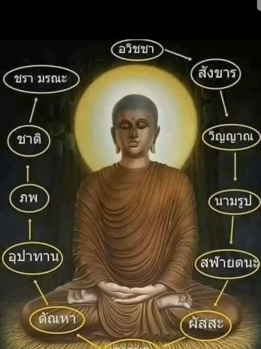 #ปฏิจจสมุปบาท#ธรรมะ #พระพุทธเจ้า #VoiceEffects 