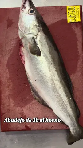 #VNVideoEditor abadejo para el hormo #abadejo #pescadoazul #horno #puerto #limpio #fresco #norte #aqui #parati #foryou #pfu #viral #mar #grande #bacalao 