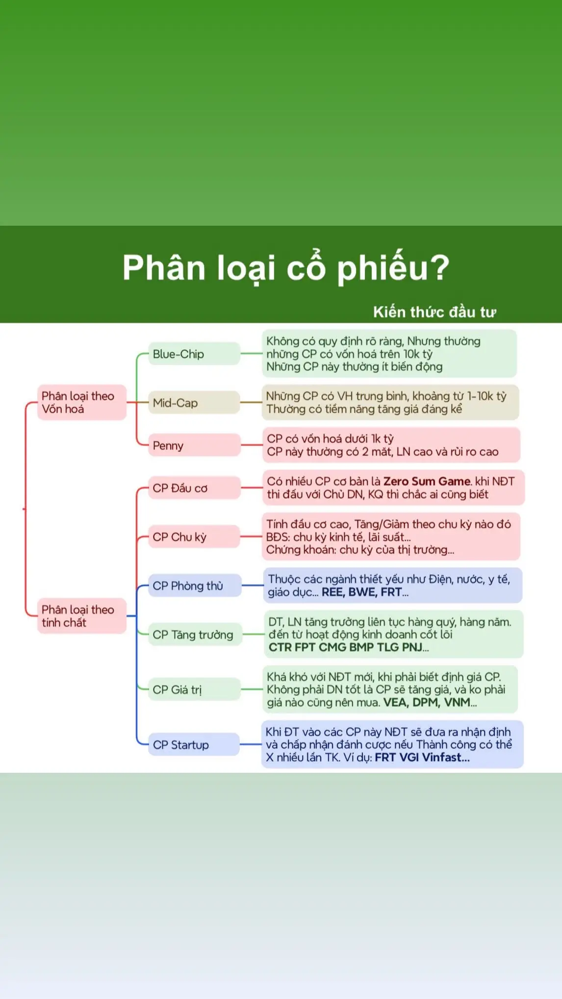 Phân loại Cổ phiếu #stock #trending #foryou #fyp #cophieu #xuhuongtiktok #TikTokAwardsVN #daututudau