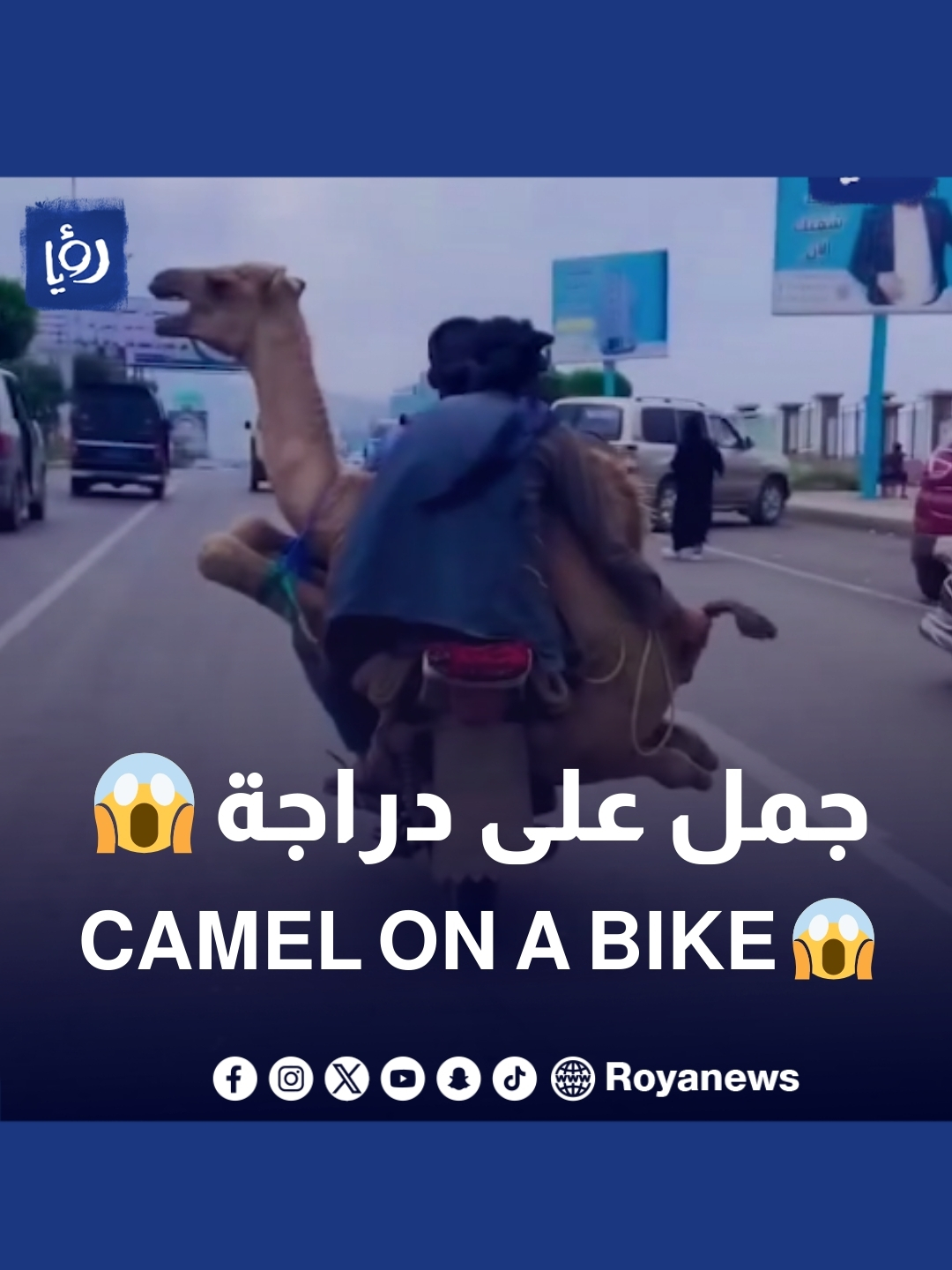 #رؤيا_الإخباري #اكسبلور #explore #fyp #fypシ #trending #foryou #foryoupage #tiktok #viral #رؤيا